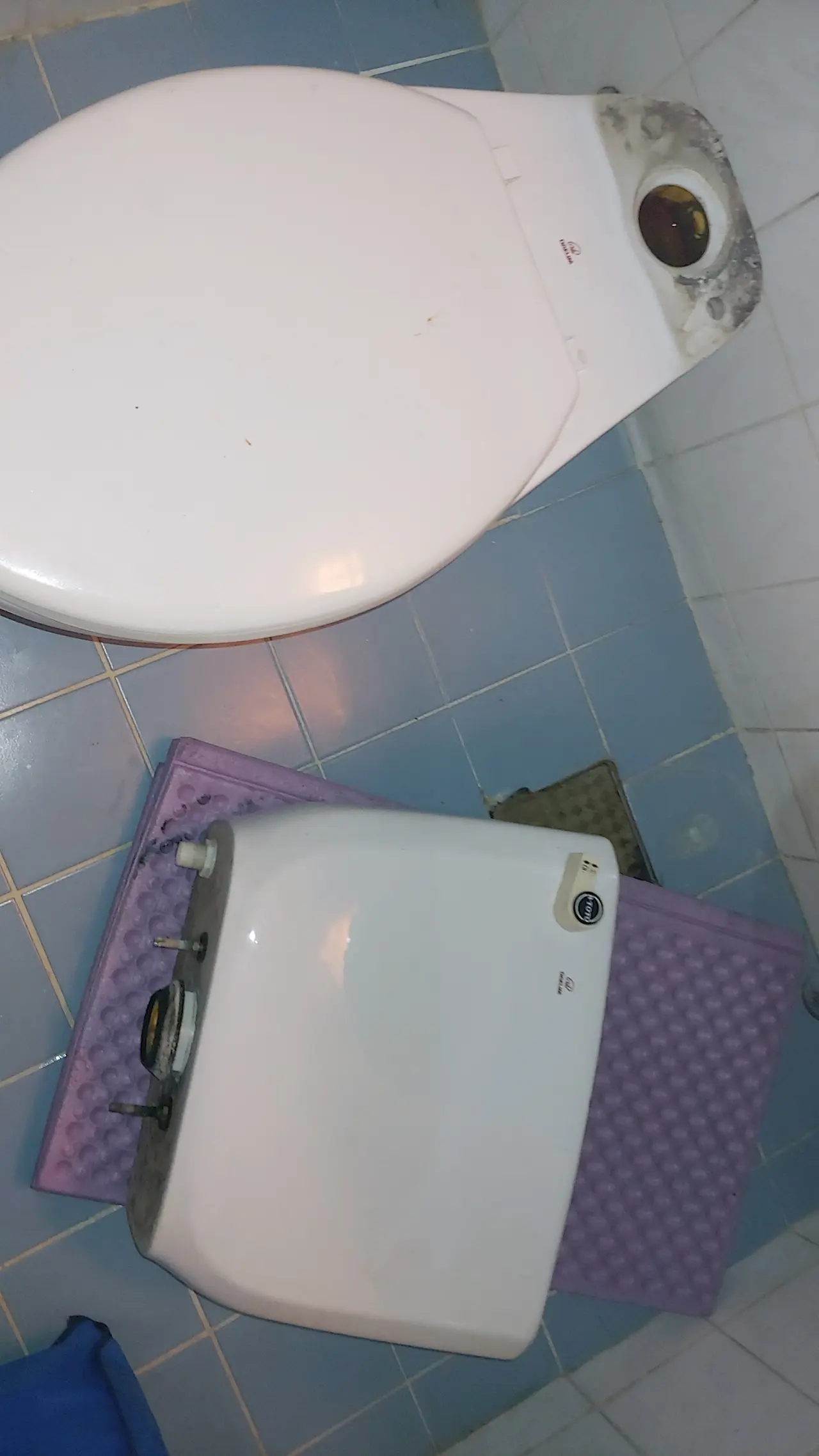 용인시 기흥구 보라동 변기 수리 현장 점검