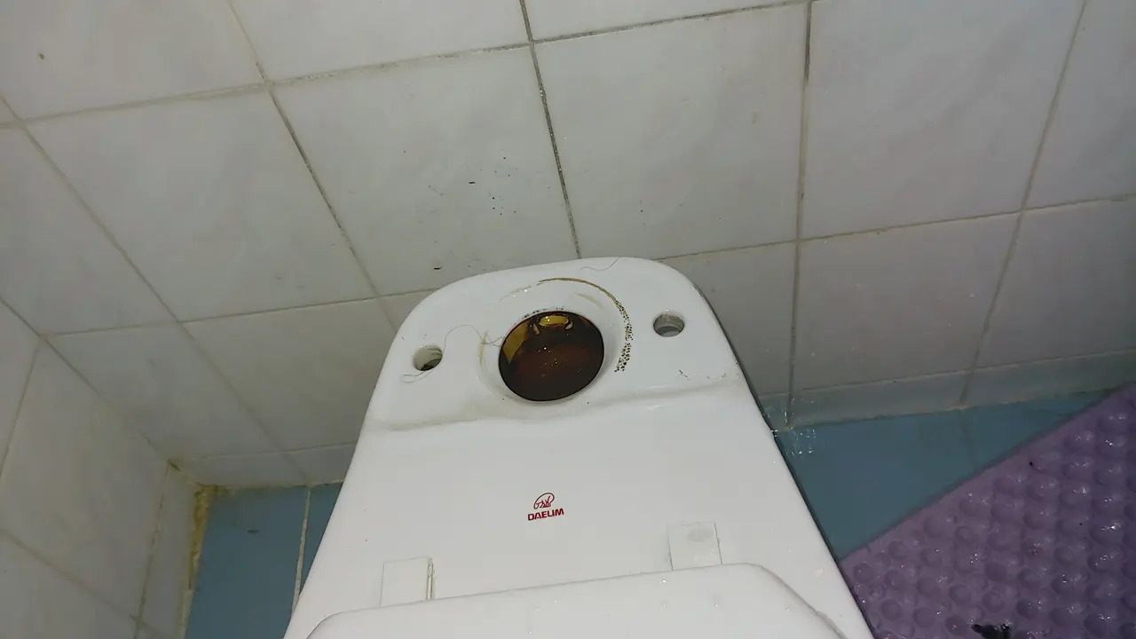 용인시 기흥구 고매동 변기 수리 현장 점검